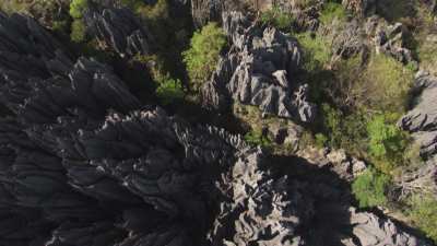 The Tsingy de Bemaraha National Park