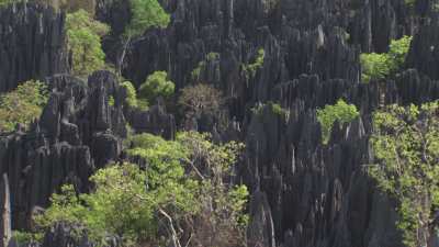 The Tsingy de Bemaraha National Park