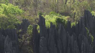 The Tsingy de Bemaraha National Park