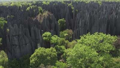 The Tsingy de Bemaraha National Park