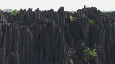 The Tsingy de Bemaraha National Park