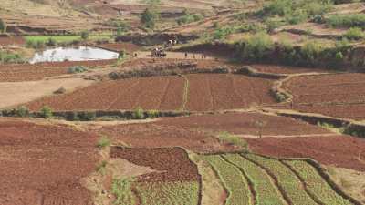 Madagascan fields and farms, caravans transporting goods