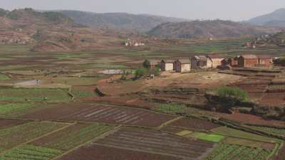 Agricultural landscape