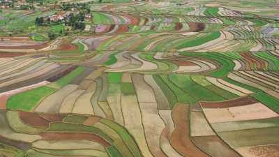 Cultivated fields landscape, villages