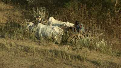 Farmers close to Bagan