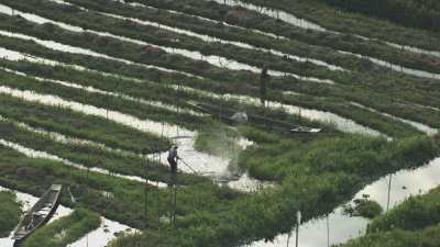 Agriculteurs frappent la surface de l'eau