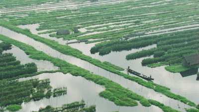 Pêcheur au casier sur la pirogue