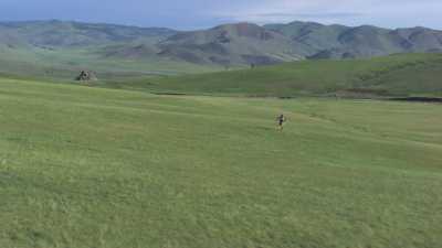 Young costumed Mongolian rider in the steppe