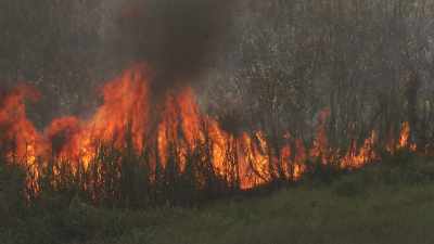 Slash-and-burn and work in sugar cane fields