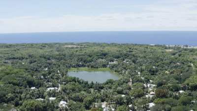 The lagoon and the forest