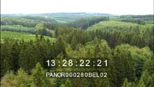 Hautes-Fagnes forest