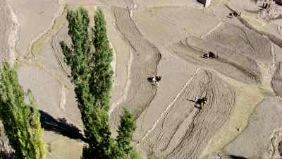 Close shots of farmers