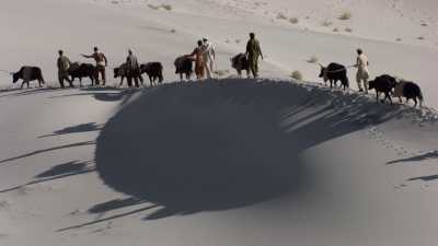 Yak caravan over the Indus, Gilgit-Baltistan