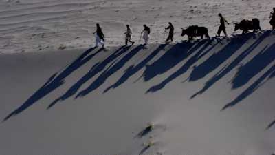 Yak caravan over the Indus, Gilgit-Baltistan