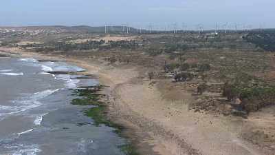 Wind turbines close to the city