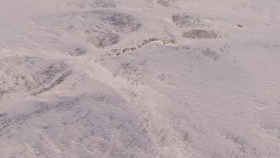 Reindeer transhumance and Nenets people