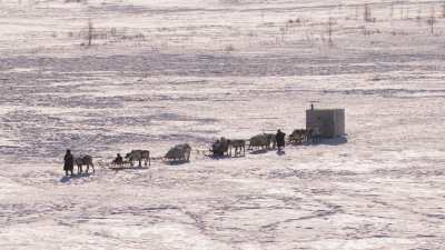 Reindeer transhumance and Nenets people