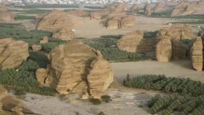 Cultivated fields in the desert