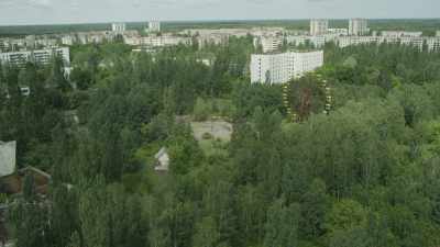 Nature flourishes in the deserted city