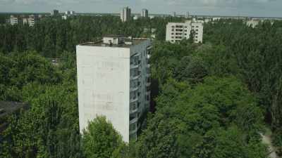 Nature flourishes in the deserted city