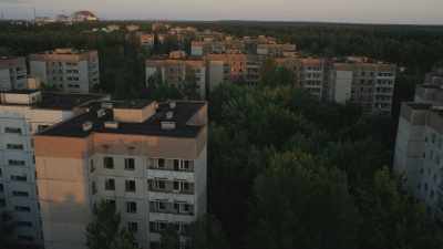 Nature flourishes in the deserted city