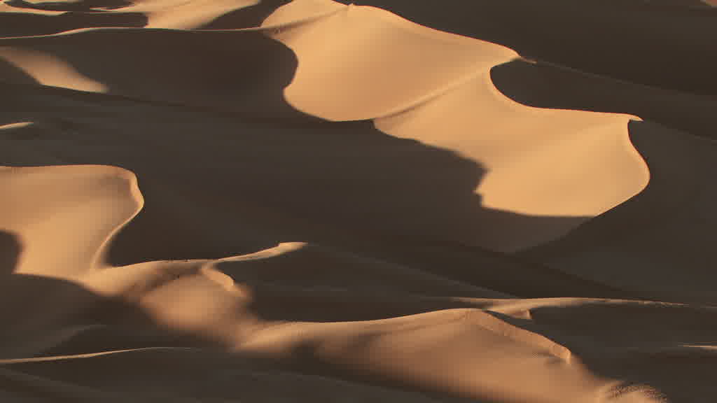 The Dunes of the Grand Erg