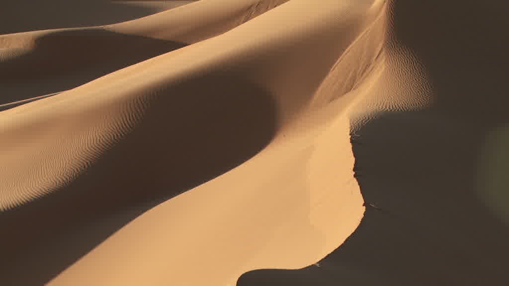 The Dunes of the Grand Erg