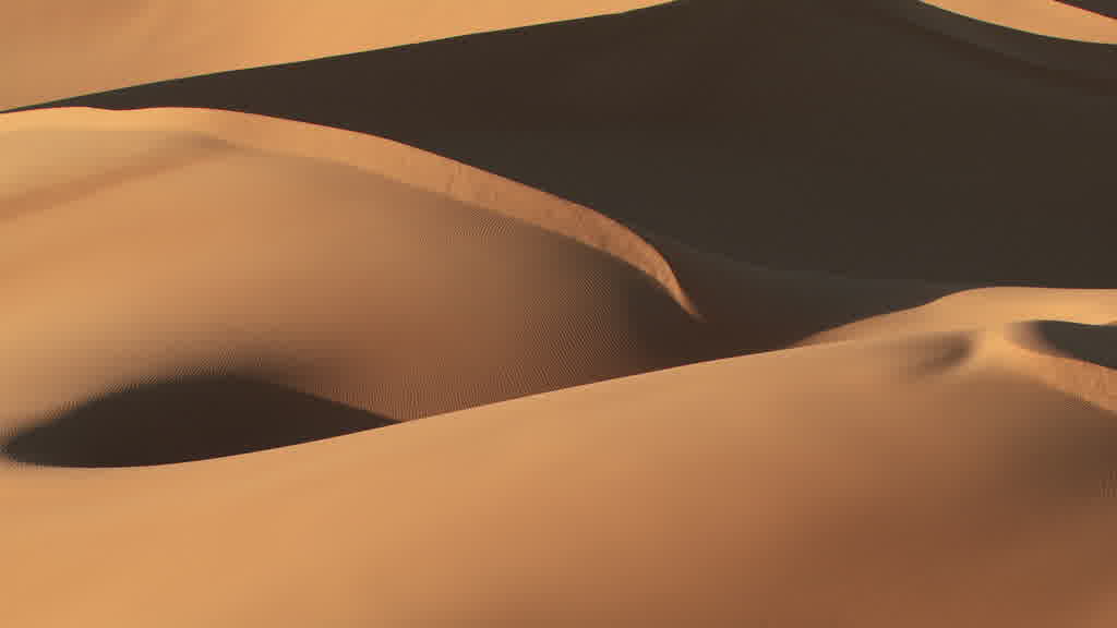 The Dunes of the Grand Erg