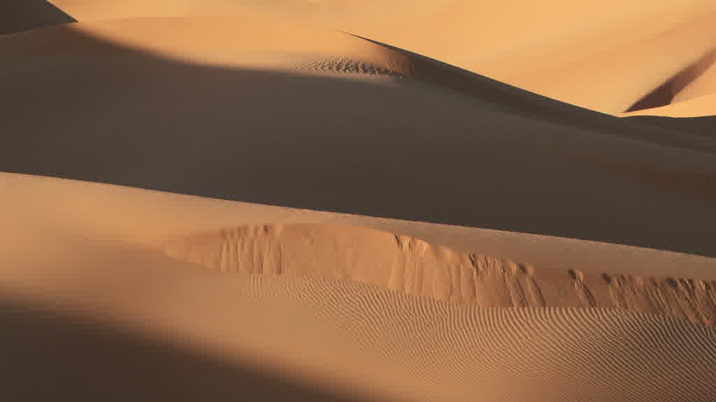 The Dunes of Grand Erg