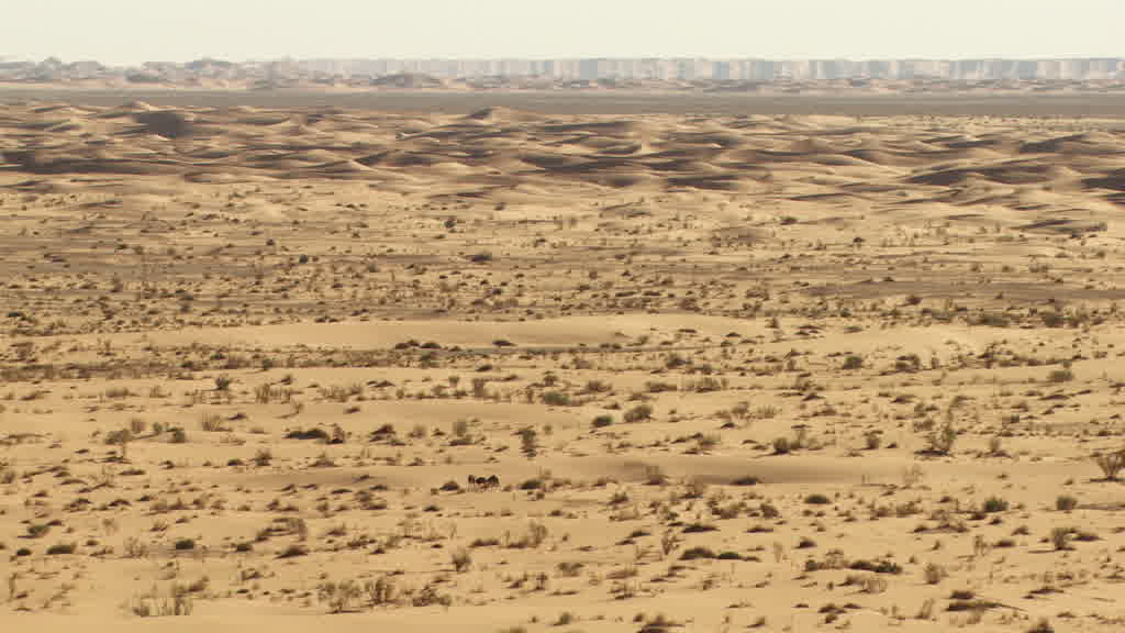 A Mirage (Fata Morgana) in the Sahara