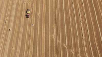 Bundling of wheat germs, French countryside