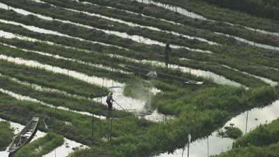 Agriculteurs frappent la surface de l'eau