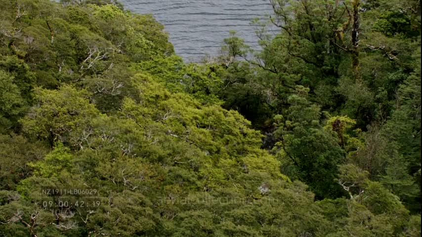 New Zealand landscapes
