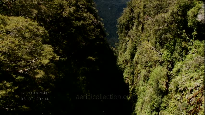 New Zealand landscapes