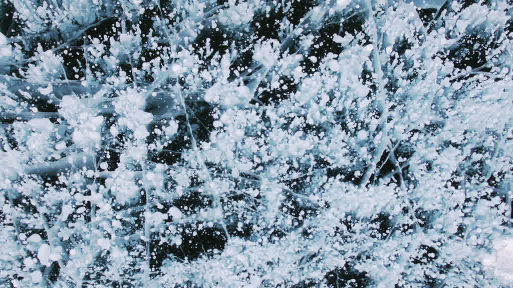 Methane Bubbles Trapped in Lake Baikal Ice