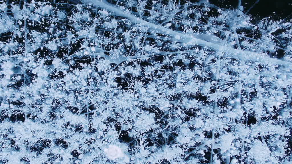Methane Bubbles Trapped in Lake Baikal Ice