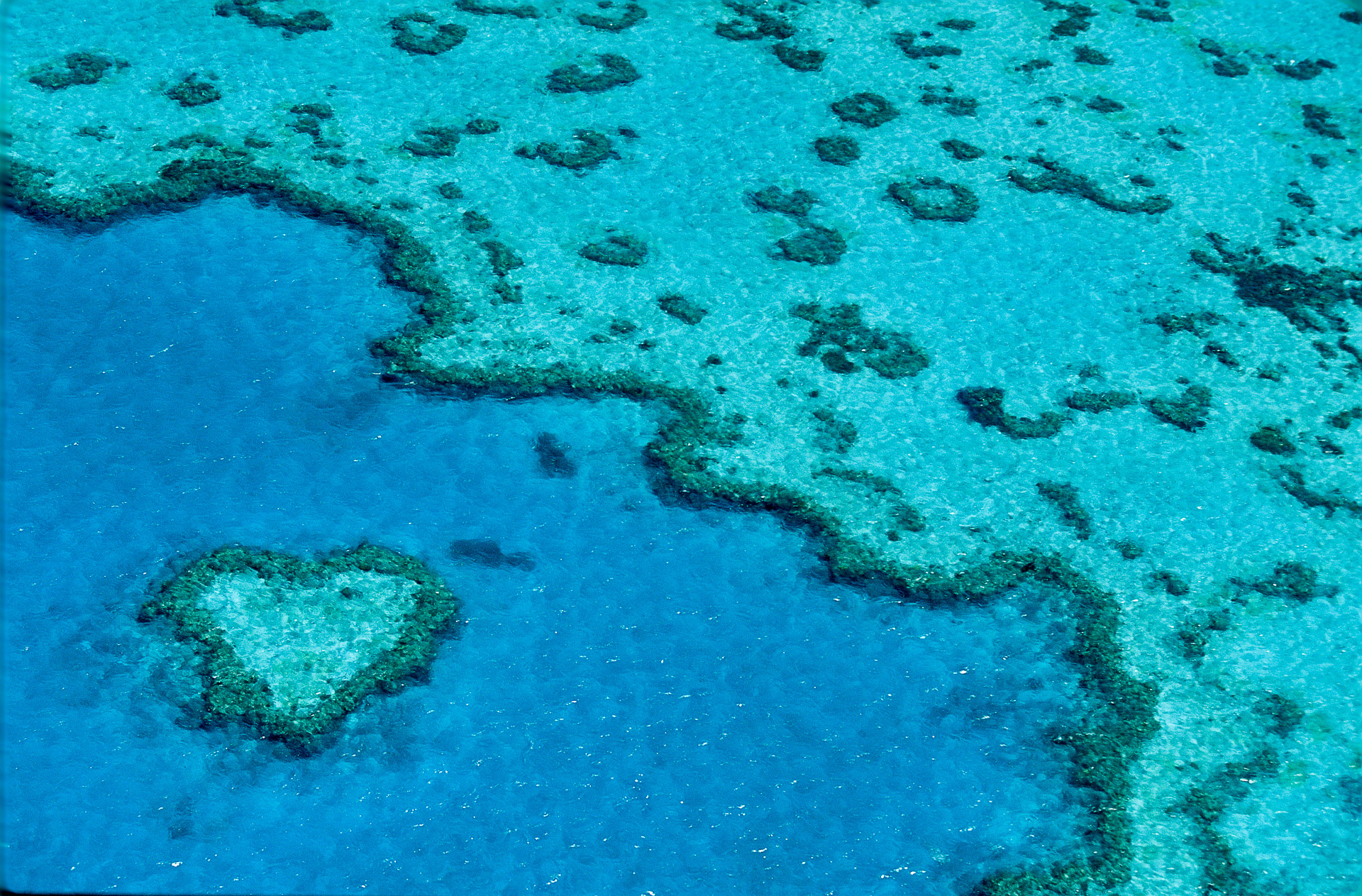 Yann Arthus-Bertrand footage