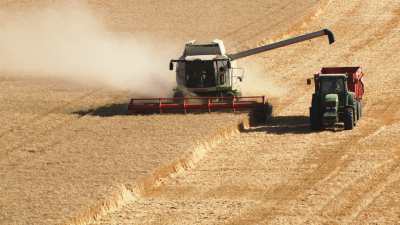 Harvests in Beauce