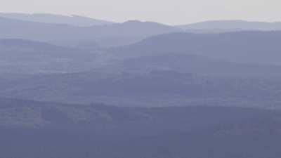 Wooded landscapes