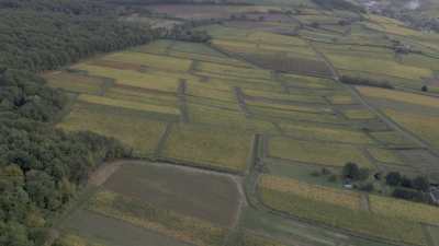 Valley and Vineyards in Burgundy