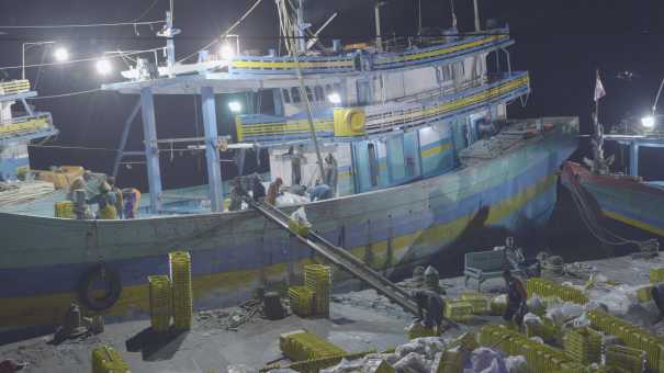 Fishing harbour and activities on the North shore of Java
