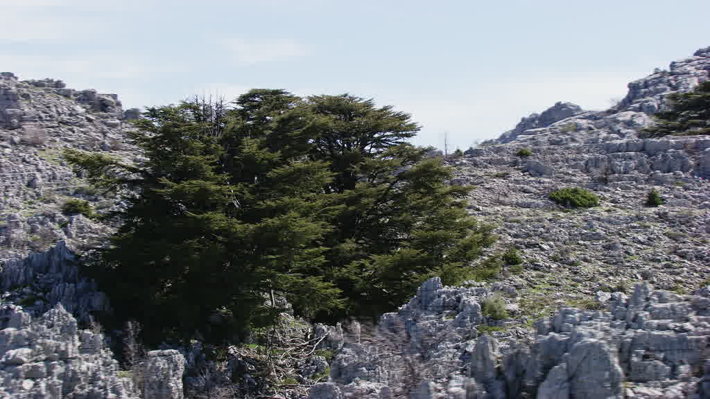Images aériennes du Liban