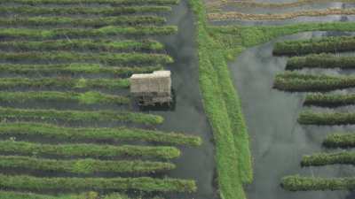 Fields and Marshlands