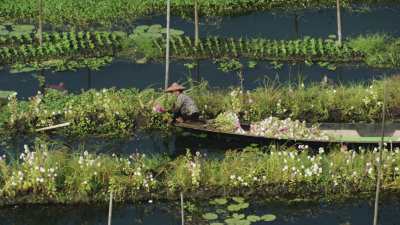 Flower Picking by Canoe