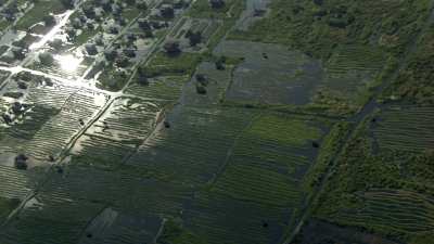 Village in Fields and Marshlands
