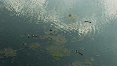 Fishermen in Canoes