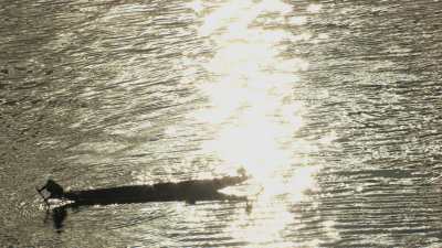 Fisherman in Pirogues Against the Light