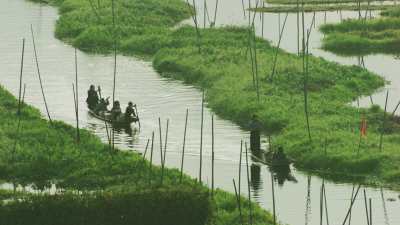Fishermen in Canoes