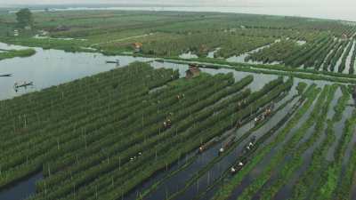 Farmers in Canoes