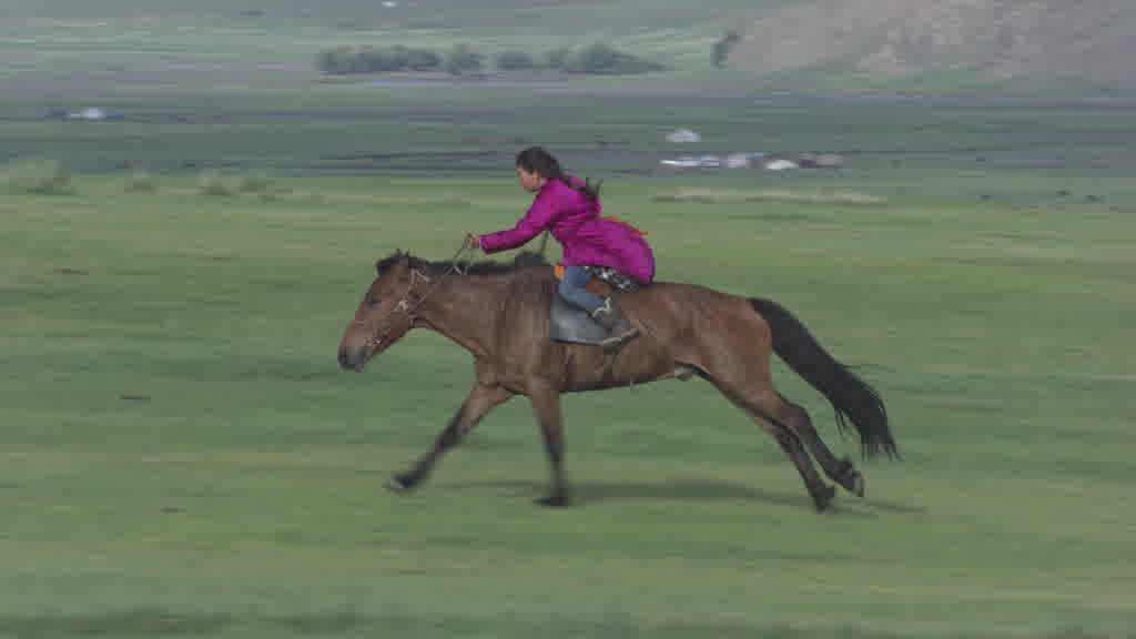De jeunes cavaliers s'entraînent pour le Naadam dans les steppes de la vallée de l'Orkhon